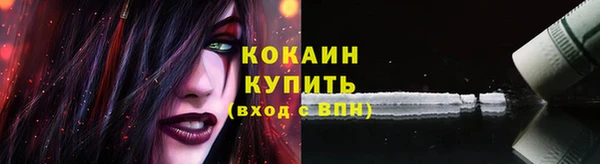 ПСИЛОЦИБИНОВЫЕ ГРИБЫ Арсеньев