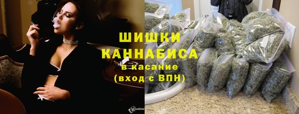 ПСИЛОЦИБИНОВЫЕ ГРИБЫ Арсеньев